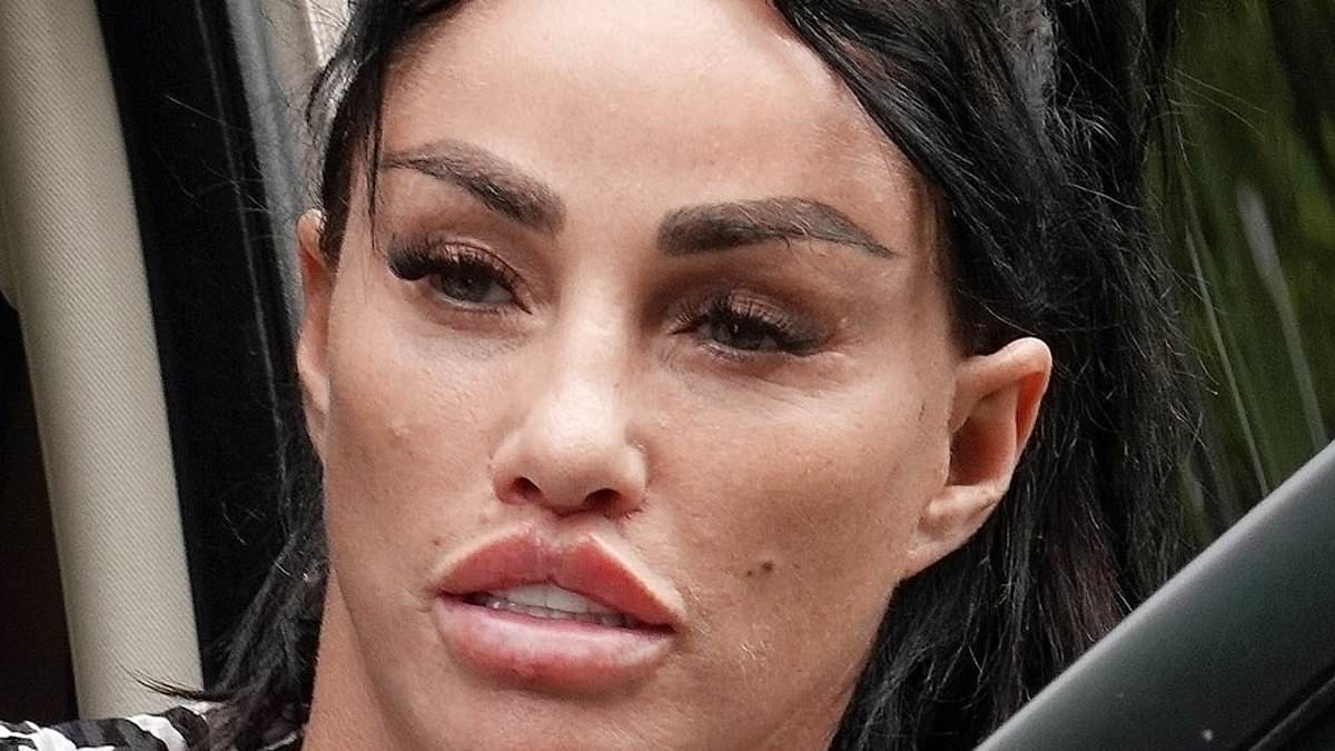 alert-–-katie-price,-45,-snubs-court-as-she-is-handed-880-fine-for-driving-without-a-licence-and-insurance-–-adding-to-long-history-of-motoring-offences-including-two-year-ban-for-flipping-her-car-after-drink-and-drugs-binge