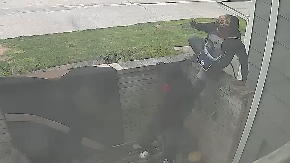 alert-–-eerie-video-shows-masked-burglars-breaking-into-houston-woman’s-home-and-creeping-through-her-house-to-steal-medication-from-her-bedroom-while-she-was-sleeping-as-family-dog-greets-them-with-a-wagging-tail