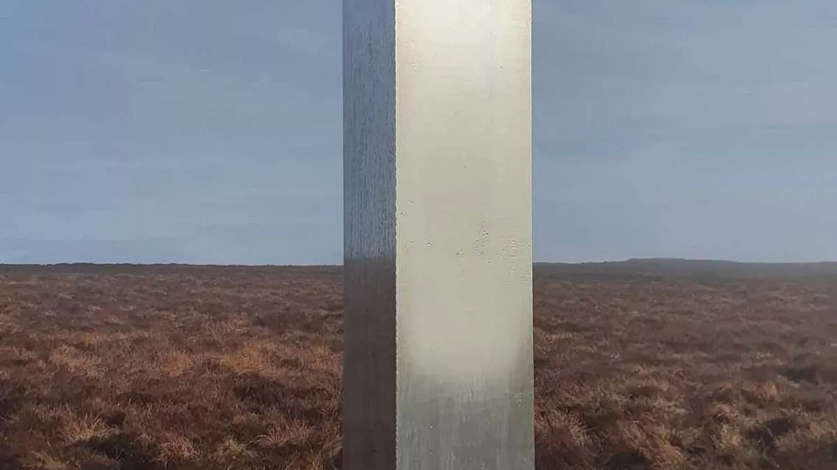 alert-–-why-are-bizarre-metal-pillars-popping-up-in-the-british-countryside?-from-the-work-of-ufos-to-mystery-collectives-planting-the-monoliths-by-helicopter-in-the-dead-of-night-and-banksy-rumours…-all-the-theories-explained