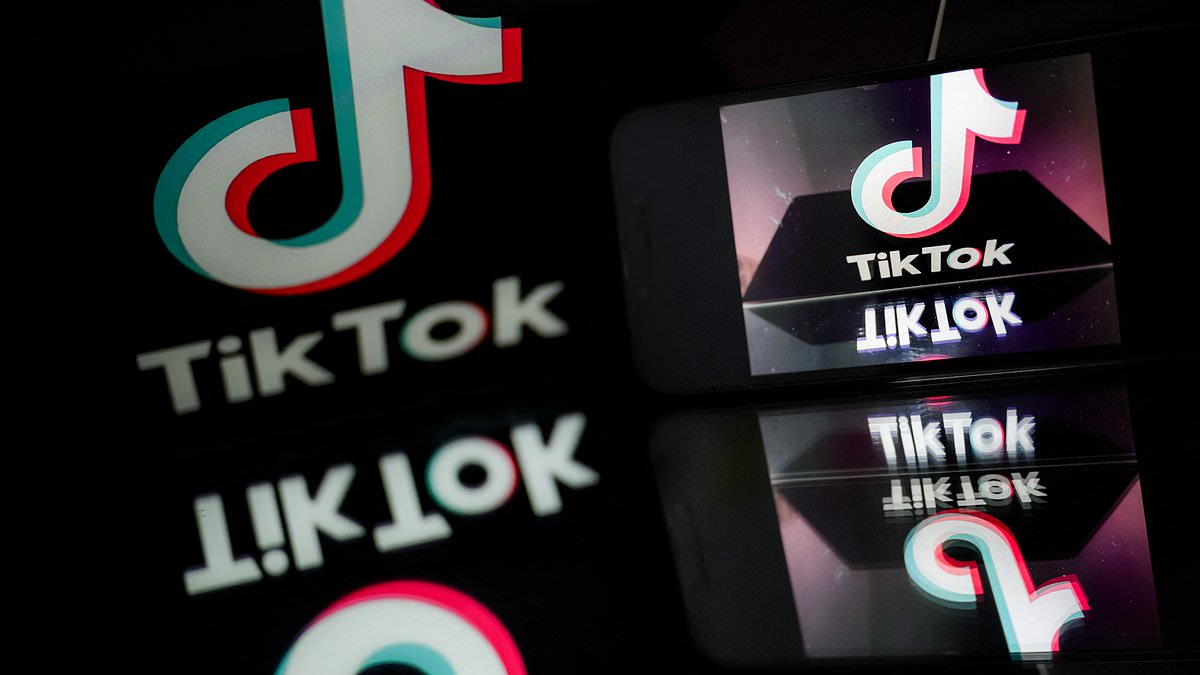 alert-–-potential-tiktok-ban-up-for-a-vote-in-the-house-today-despite-opposition-from-donald-trump,-elon-musk-and-some-lawmakers-saying-it’s-‘government-censorship’-as-final-passage-hangs-in-limbo