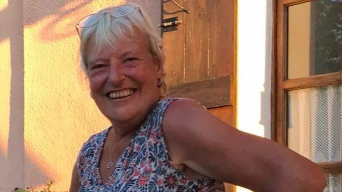 alert-–-brit’s-dream-retirement-to-south-of-france-ends-in-brutal-murder:-woman,-67,-was-strangled-and-kicked-to-death-in-her-new-home-by-neighbour-who-exploded-when-she-kept-asking-to-borrow-some-sticking-tape