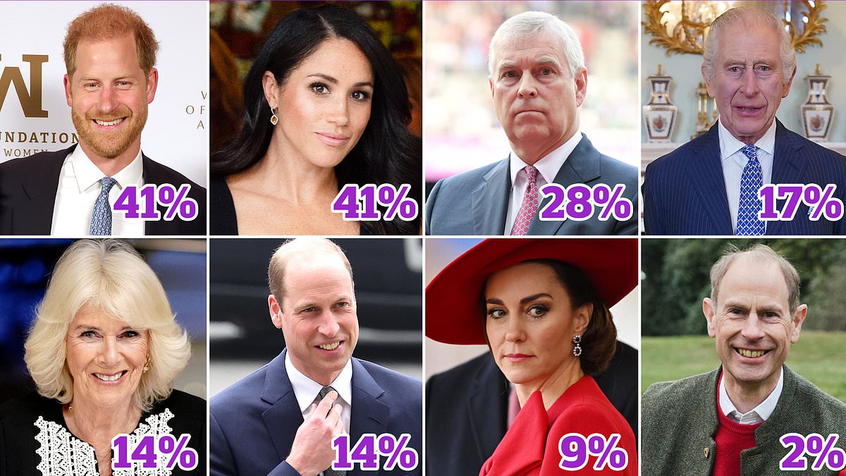 alert-–-public-do-not-want-harry-to-return-to-royal-duties-as-nearly-half-tell-pollsters-house-of-windsor-is-divided-–-with-prince-and-his-wife-meghan-most-often-blamed-for-the-split