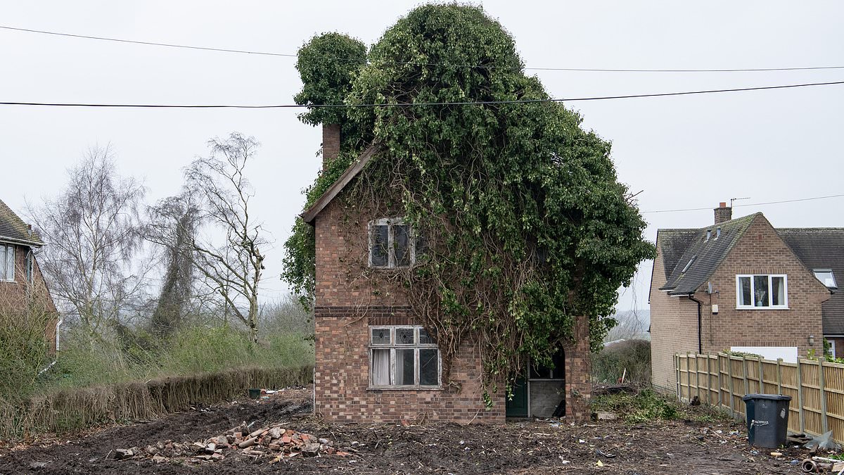 alert-–-our-neighbour’s-fairytale-house-was-buried-beneath-a-jungle-for-years-–-but-now-we-can-finally-see-what’s-underneath