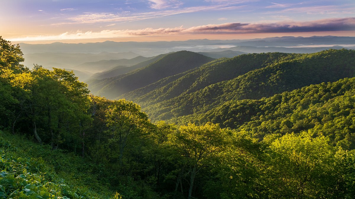 alert-–-thousands-of-retirees-ditch-florida-for-southern-appalachia-–-sparking-fury-among-incensed-locals-as-transplants-push-up-house-prices,-back-up-traffic-and-pack-out-restaurants