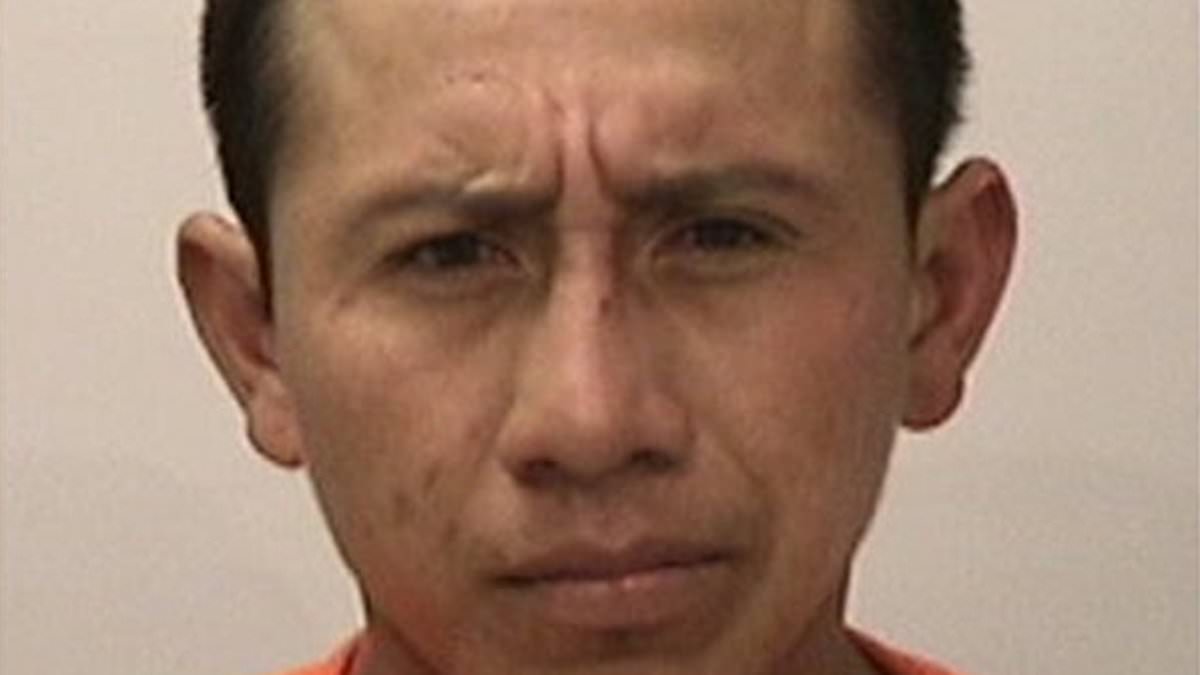 alert-–-san-francisco-man-who-stabbed-asian-woman,-94,-multiple-times-gets-probation-after-soft-touch-judge-was-told-he’d-suffered-‘trauma’-and-‘cried’-on-being-told-what-he’d-done