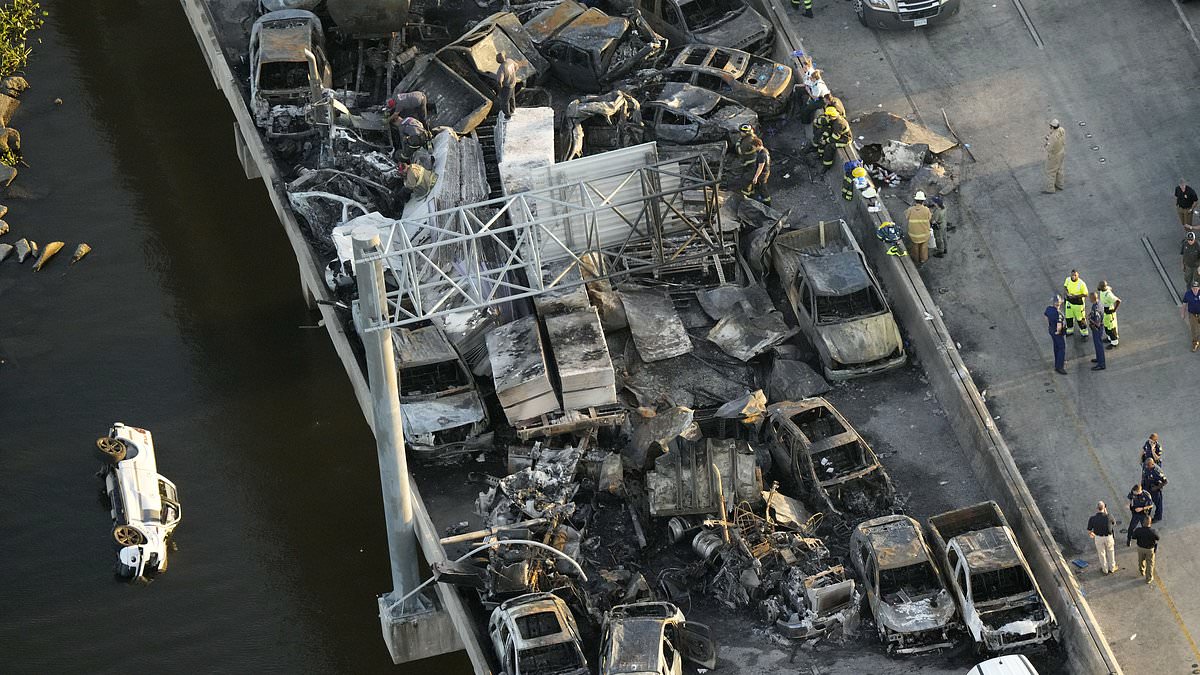 alert-–-louisiana-trucker-is-charged-with-causing-160-car-pile-up-that-killed-eight-people-by-speeding-down-highway-in-‘superfog’-and-slamming-into-cars-in-front-of-him