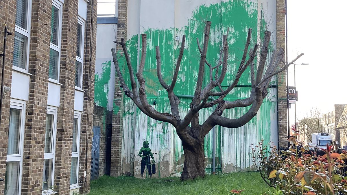 alert-–-a-new-banksy?-locals-suspect-tree-mural-which-appeared-overnight-on-the-side-of-a-building-in-north-london-could-be-the-latest-offering-by-the-elusive-street-artist