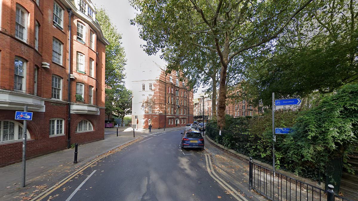 alert-–-man,-47,-is-arrested-on-suspicion-of-attempted-murder-after-crossbow-‘sniper’-terrorising-trendy-shoreditch-estate-left-two-residents-lucky-to-be-alive