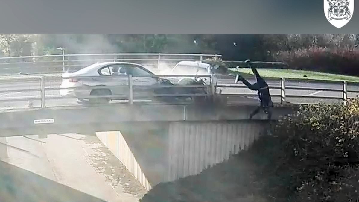 alert-–-horrifying-moment-motorcyclist-in-his-40s-is-catapulted-into-the-air-off-a-bridge-by-‘road-rage’-bmw-driver,-34,-who-rammed-him-after-pair-swapped-‘non-verbal-exchange’,-leaving-rider-seriously-injured-–-as-motorist-is-jailed-for-nearly-five-years