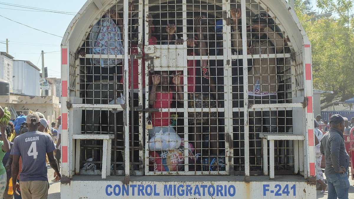 alert-–-haitian-migrants-trying-to-flee-conflict-are-rounded-up-by-cops-in-dominican-republic-and-sent-back-in-caged-police-vans