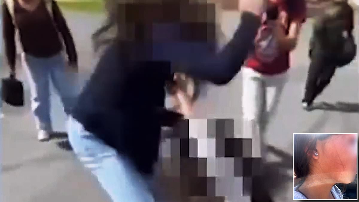 alert-–-california-sixth-grade-girl-is-viciously-attacked-by-classmate-‘in-fight-over-a-boy’-as-victim’s-mom-blasts:-‘nobody-came-to-help-my-daughter’