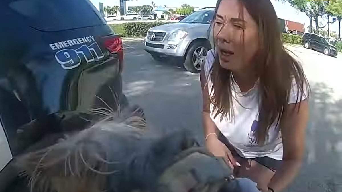 alert-–-bawling-west-palm-beach-woman-screams-in-pain-as-she’s-attacked-by-vicious-pit-bull-while-walking-her-yorkie-–-leaving-her-with-bleeding-gashes-on-both-arms