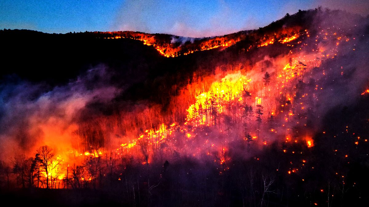 alert-–-more-than-100-wildfires-ravage-west-virginia,-destroying-homes-and-razing-over-4,000-acres-–-as-frantic-driver-films-escape-through-thick-smoke:-‘we-gotta-get-out-of-here’