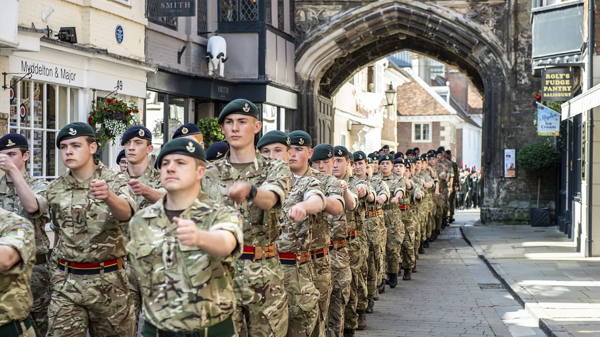 alert-–-three-out-of-four-people-applying-to-join-the-army-never-end-up-serving-as-many-stay-stuck-on-waiting-list-for-six-months-or-more-despite-recruiting-crisis