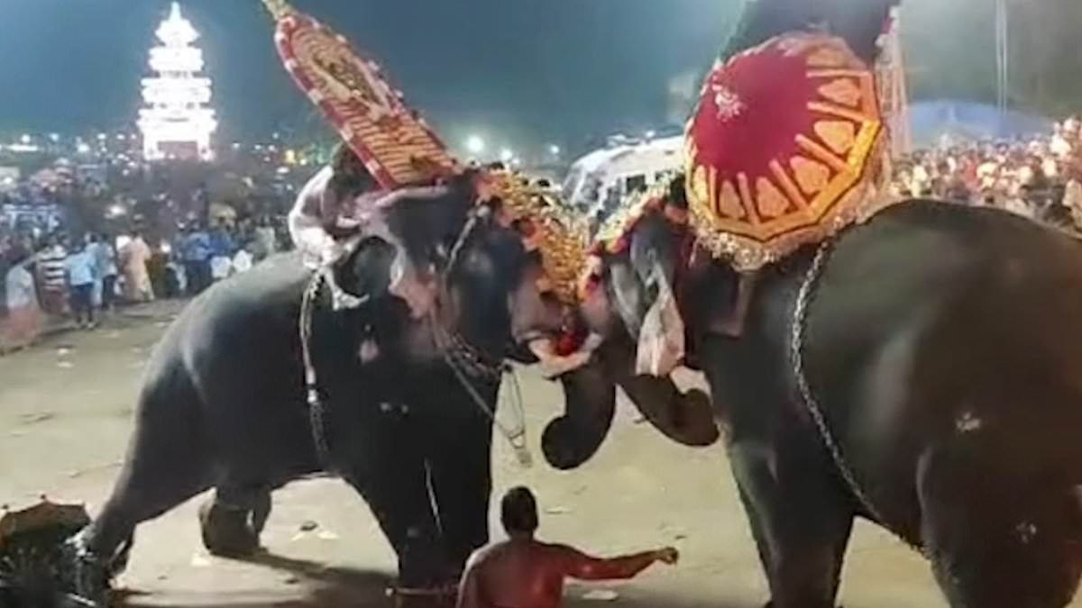 alert-–-shocking-moment-elephants-fight-each-other-before-turning-on-the-crowd-and-injuring-dozens-as-they-go-on-the-rampage-at-indian-religious-festival