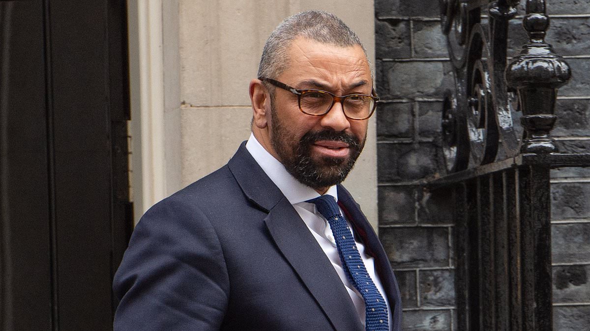 alert-–-home-secretary-james-cleverly-urges-football-fans-to-‘vote-with-their-feet’-and-not-buy-controversial-nike-england-kit-with-‘woke’-cross