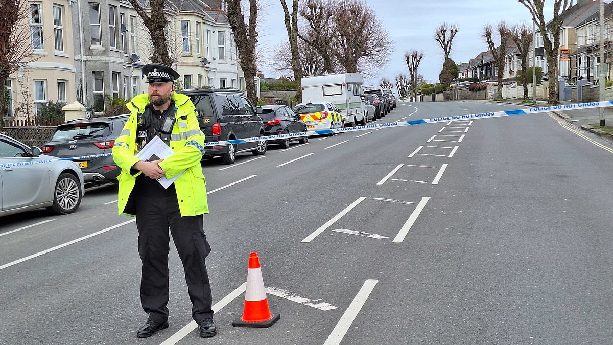 alert-–-woman-and-five-year-old-girl-both-die-in-hospital-after-being-hit-by-a-car-in-plymouth-with-police-confirming-the-74-year-old-female-driver-has-been-arrested-on-suspicion-of-‘driving-while-unfit-through-drink-or-drugs’