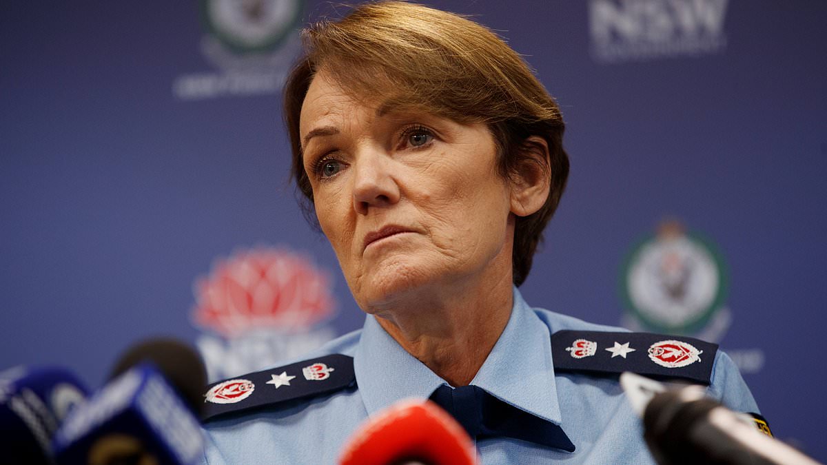 alert-–-ben-fordham-makes-shock-claim-about-nsw-police-commissioner-karen-webb-after-she-suddenly-cancelled-an-interview:-‘it’s-about-me-…-it’s-a-dummy-spit’