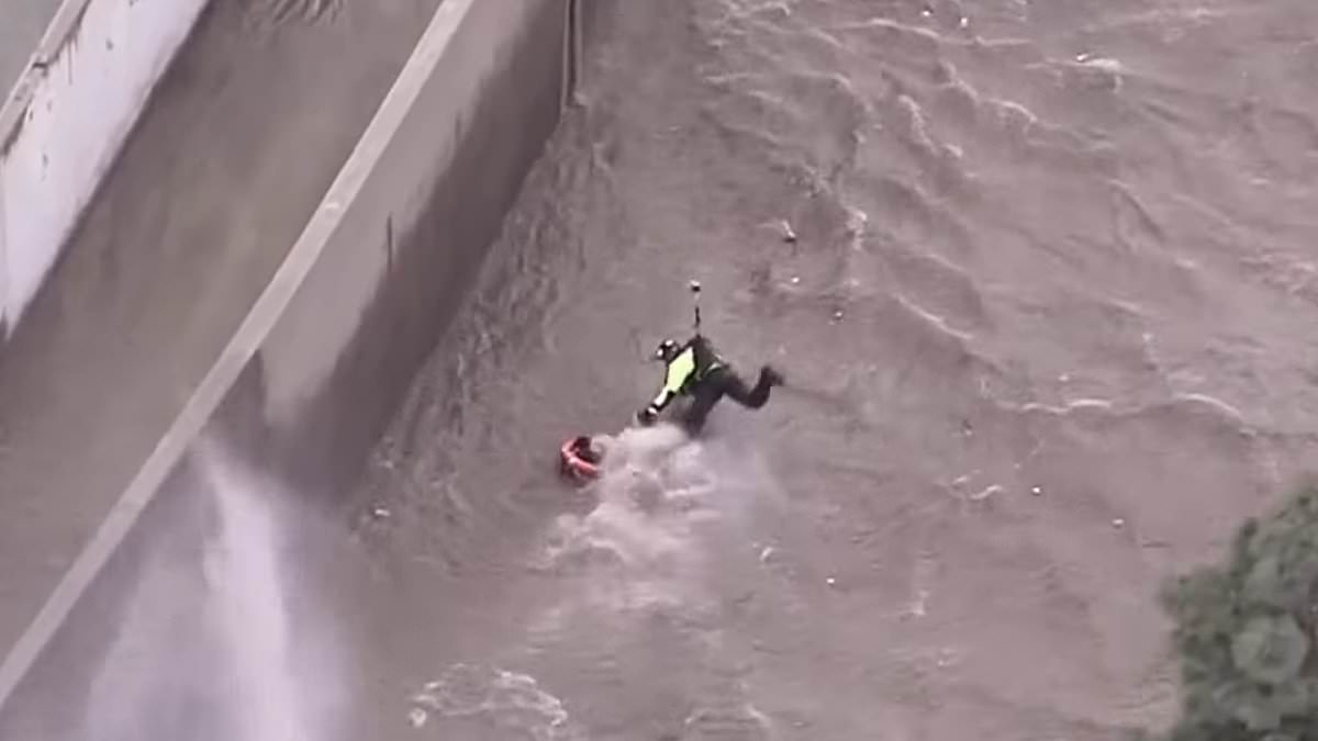 alert-–-dramatic-moment-helicopter-crew-saves-woman-being-swept-away-in-los-angeles-river-during-spring-storm