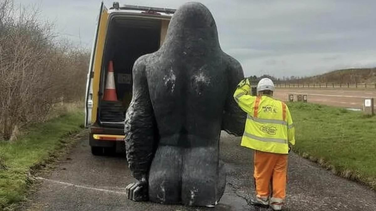 alert-–-stolen-3,000-8ft-‘gary-the-gorilla’-statue-is-found-on-a-layby-in-fife-after-being-snatched-–-and-has-been-reunited-with-its-owner