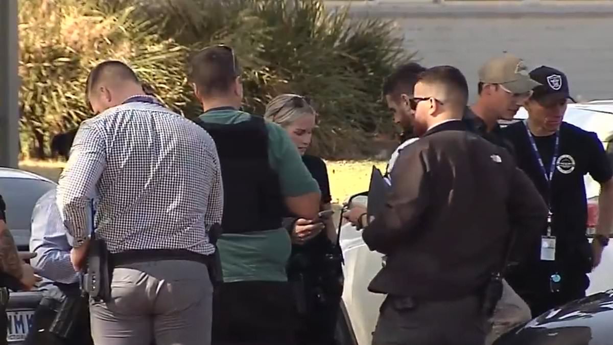 alert-–-melbourne-school-stabbing:-boy,-17,-is-arrested-after-allegedly-knifing-another-boy-at-school