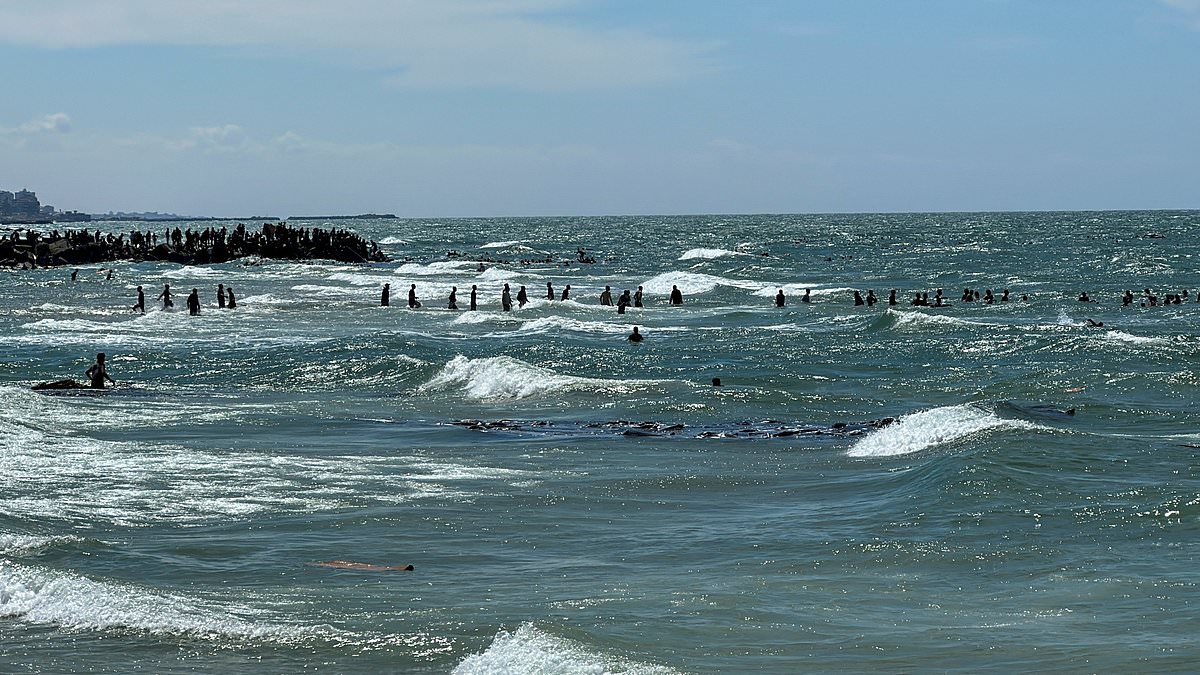 alert-–-hamas-calls-for-gaza-air-drops-to-stop-after-12-people-drown-and-six-others-die-in-stampedes-trying-to-reach-packages-dropped-along-the-coast-in-starving-north-of-the-territory