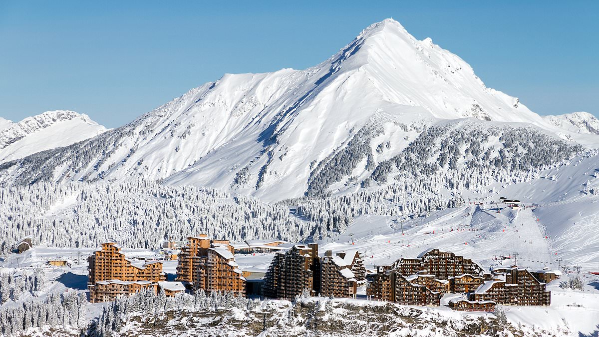 alert-–-british-skier,-68,-dies-after-crashing-into-a-tree-while-swerving-to-avoid-a-group-of-people-at-french-resort