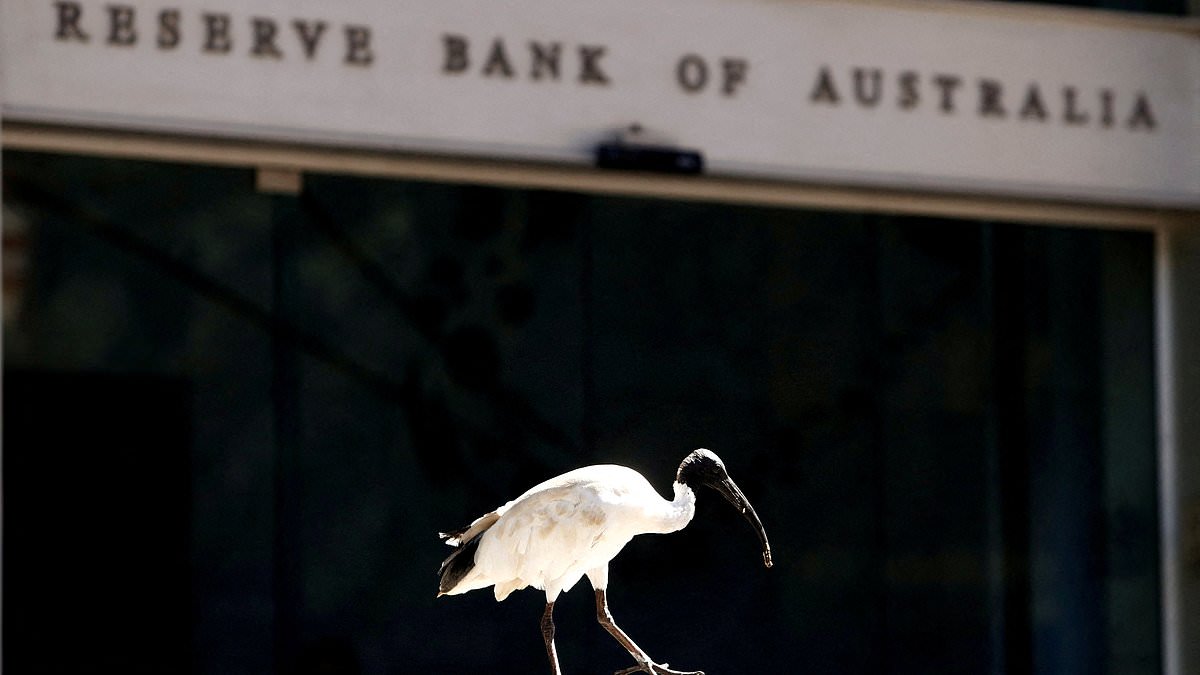 alert-–-reserve-bank-of-australia-did-not-consider-increasing-interest-rates-in-its-latest-decision