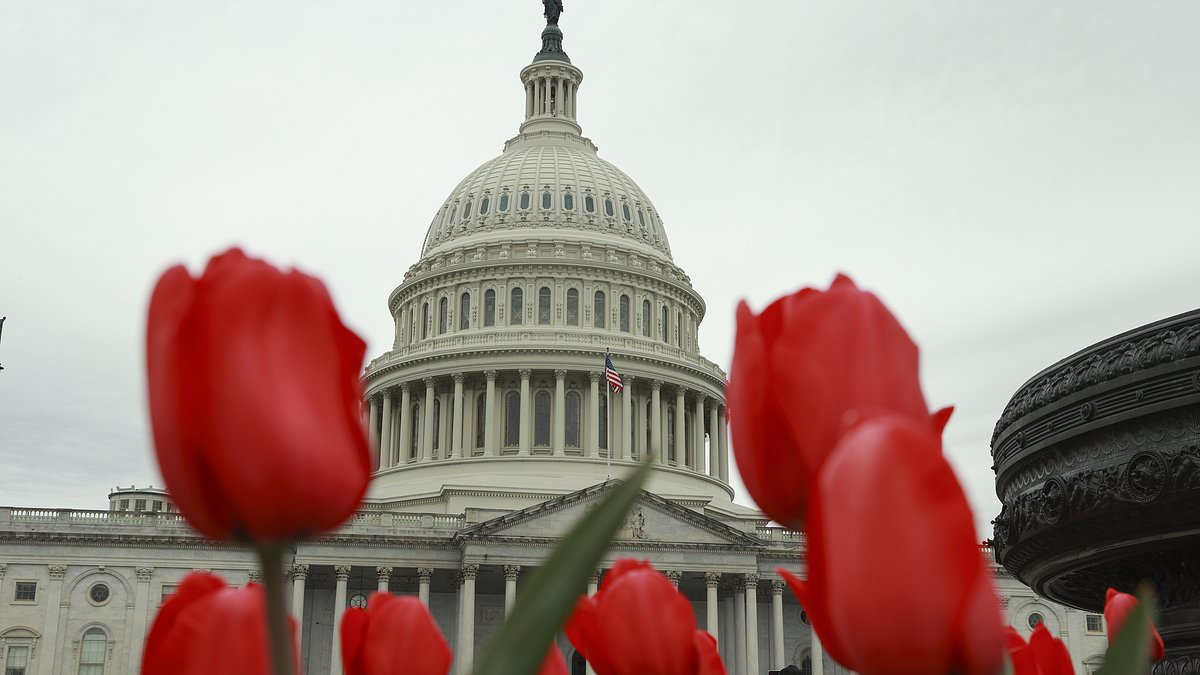 alert-–-conservatives-demand-crackdown-after-8,000-pet-projects-in-congress-cost-taxpayers-$15-billion-in-2024:-republicans-urged-to-ban-earmarks-that-included-cash-for-salmon-research,-studies-on-sharks-and-lgbtq-groups