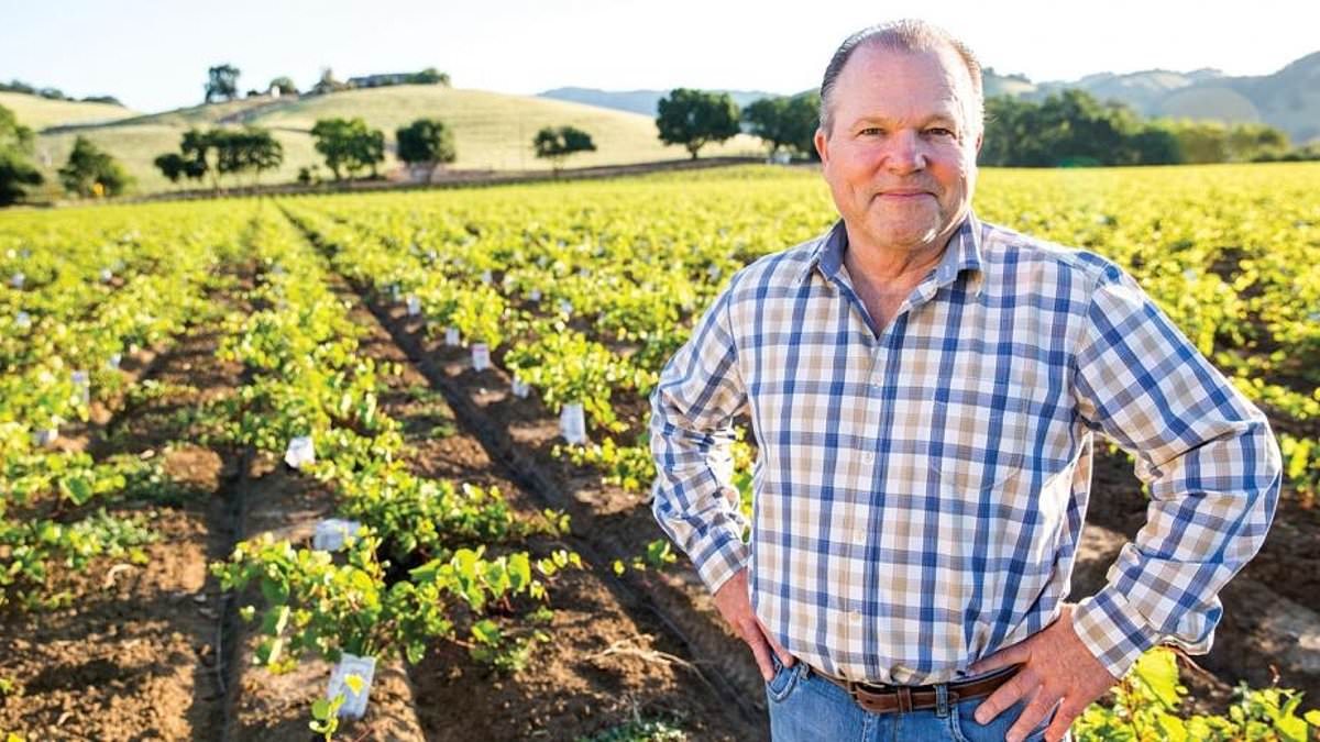 alert-–-how-a-secretive-fbi-probe-and-mysterious-suicide-exposed-toxic-napa-valley-turf-war-–-as-‘eco-mob-extremists’-tell-owners-of-america’s-world-famous-wineries-they-want-their-vineyards-to-burn