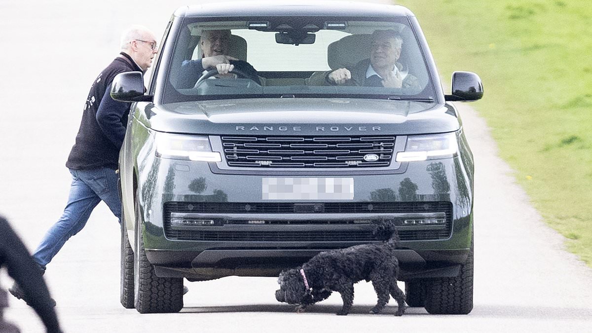 alert-–-giggling-prince-andrew-watches-as-desperate-dog-owner-chases-his-pooch-after-it-ran-in-front-of-the-duke’s-range-rover-–-as-the-royal-cuts-a-relaxed-figure-amid-new-netflix-drama-scoop-on-his-embarrassing-newsnight-interview