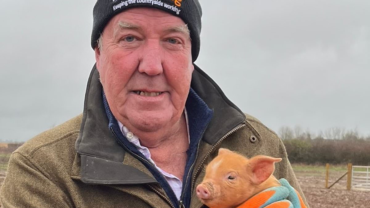 alert-–-‘everything’s-gone-wrong’-on-jeremy-clarkson’s-farm:-how-diddly-squat’s-been-plagued-by-red-tape-and-poor-harvests-(and-he’s-tried-to-rope-in-rishi-sunak-for-help-too)-–-as-star-‘channels’-kevin-costner’s-yellowstone-rancher-to-overcome-the-challenges