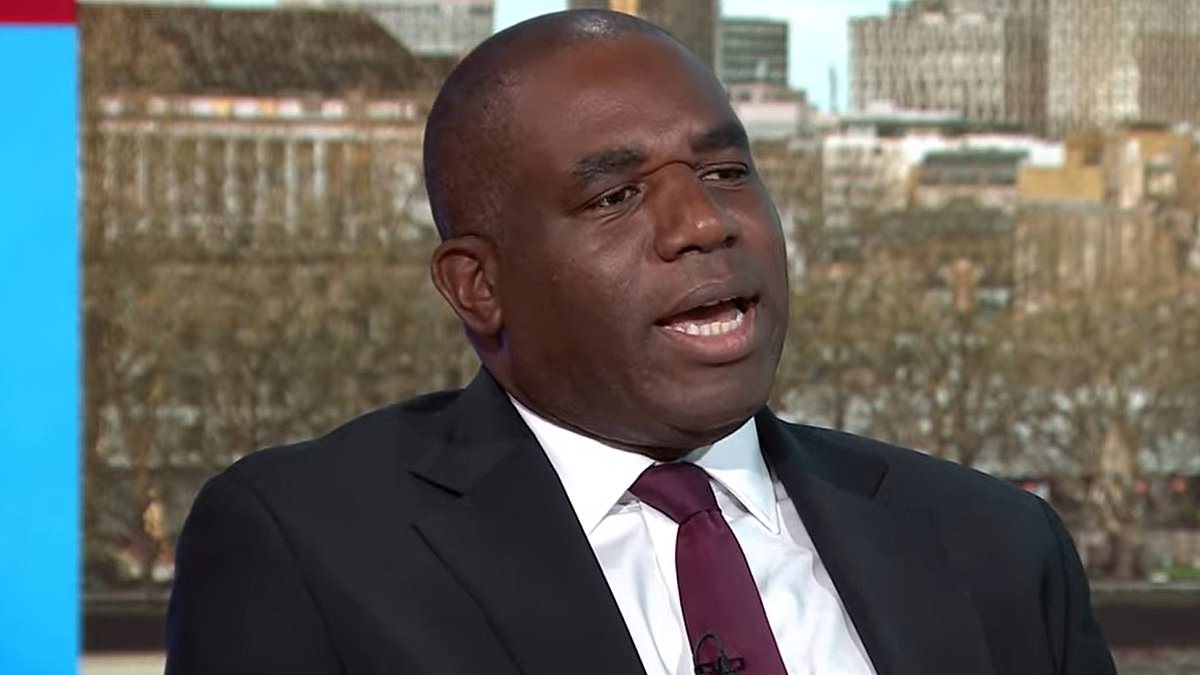 alert-–-labour’s-david-lammy-defends-angela-rayner-and-claims-the-rules-are-‘different’-when-you-are-in-opposition-–-after-bombshell-dossier-of-photos-deepens-deputy-leader’s-housing-row