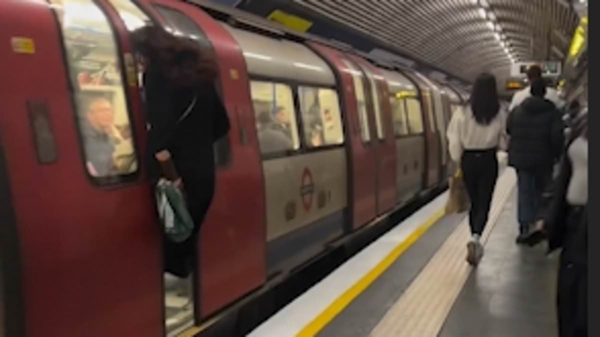 alert-–-moment-clumsy-commuter-makes-a-break-for-the-tube,-only-to-be-caught-between-closing-doors-by-her-leg