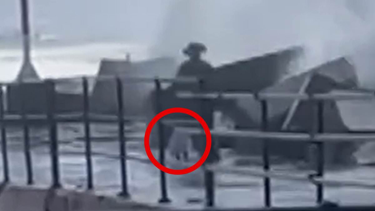 alert-–-north-wollongong:-terrifying-moment-giant-wave-washes-a-toddler-away-–-before-dad-jumps-in-to-rescue-her