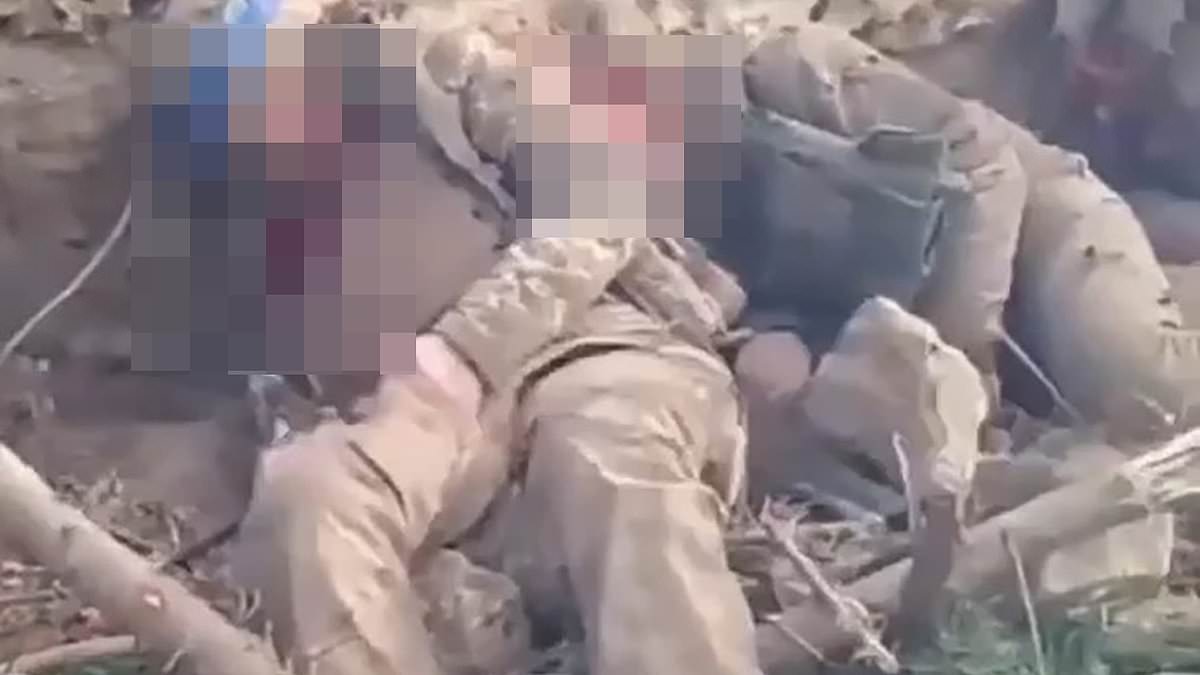 alert-–-three-unarmed-ukrainian-pows-‘are-executed-with-machineguns-by-putin’s-troops’-in-shocking-footage:-kyiv-reports-slaughter-to-un-in-latest-evidence-of-atrocities-carried-out-by-russia