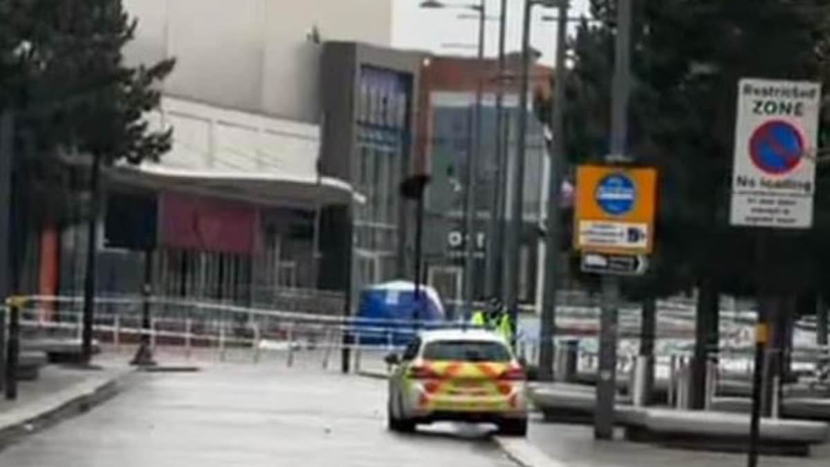 alert-–-boy,-15,-is-stabbed-to-death-at-shopping-centre-as-murder-police-hunt-knifeman