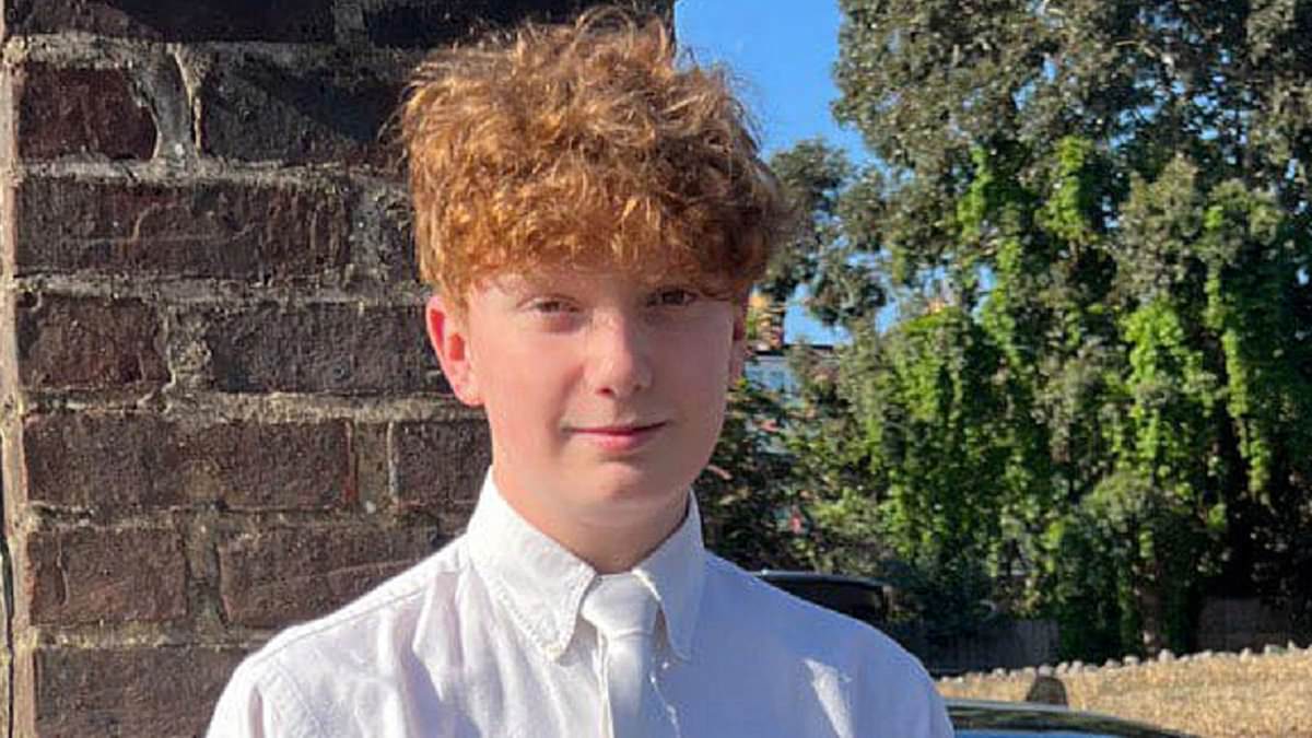 alert-–-primrose-hill-stabbing-victim-harry-pitman’s-mother-yells-‘coward’-at-her-son’s-alleged-killer-–-as-boy,-17,-denies-murdering-teenager-at-new-year’s-eve-fireworks-display