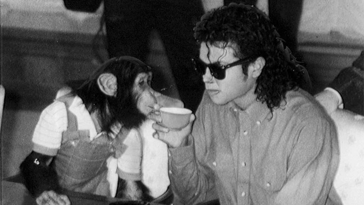 alert-–-jon-bon-jovi-talks-meeting-michael-jackson-in-tokyo-and-reveals-king-of-pop-sent -pet-chimp-to-band’s-room-to-party:-‘bubbles-parties-like-a-rock-star’