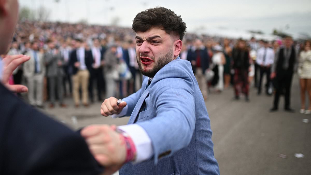 alert-–-brawl-breaks-out-at-aintree-as-bloodied-male-racegoers-throw-punches-at-each-in-the-stands-after-huge-crowds-enjoyed-a-day-on-the-booze