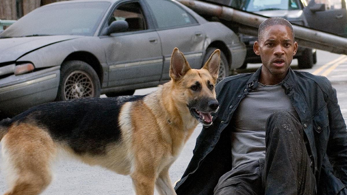 alert-–-will-smith-pays-loving-tribute-to-i-am-legend-dog-with-poignant-video-montage-as-fans-say:-‘i’ve-never-cried-so-much!’