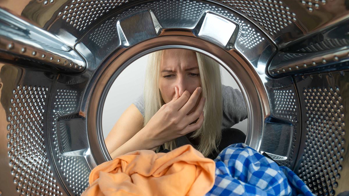 alert-–-my-washing-machine-stank-but-a-three-ingredient-combo-got-rid-of-the-nasty-smell-immediately