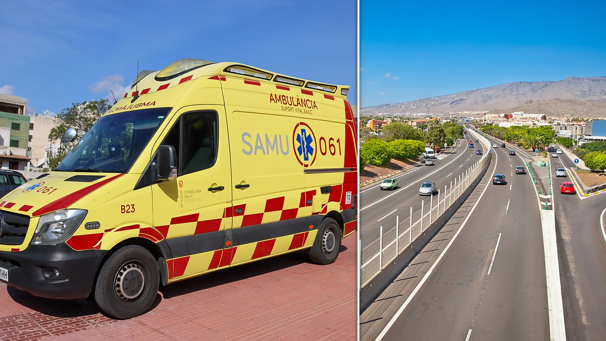 alert-–-horror-as-british-tourist,-23,-is-killed-in-tenerife-‘trying-to-run-across-a-busy-motorway-after-climbing-over-safety-barrier’-at-popular-resort