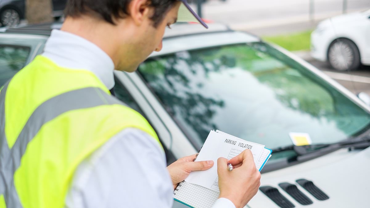 alert-–-disbelief-as-council-uses-loophole-to-let-learner-driver-parking-wardens-fine-motorists-who’ve-passed-their-tests