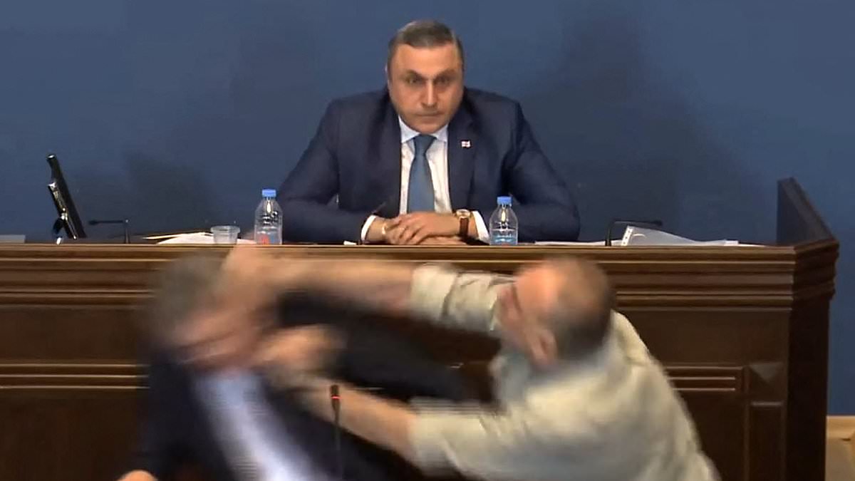 alert-–-georgian-lawmaker-punches-rival-politician-in-the-face-to-stop-him-bringing-in-controversial-law-bringing-in-putin-like-repression-–-sparking-mass-brawl-in-parliament