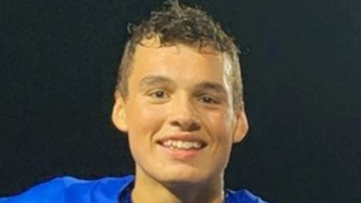 alert-–-high-school-football-star,-17,-is-killed-in-horror-smash-with-semi-truck-while-driving-with-four-of-his-siblings-on-georgia-highway