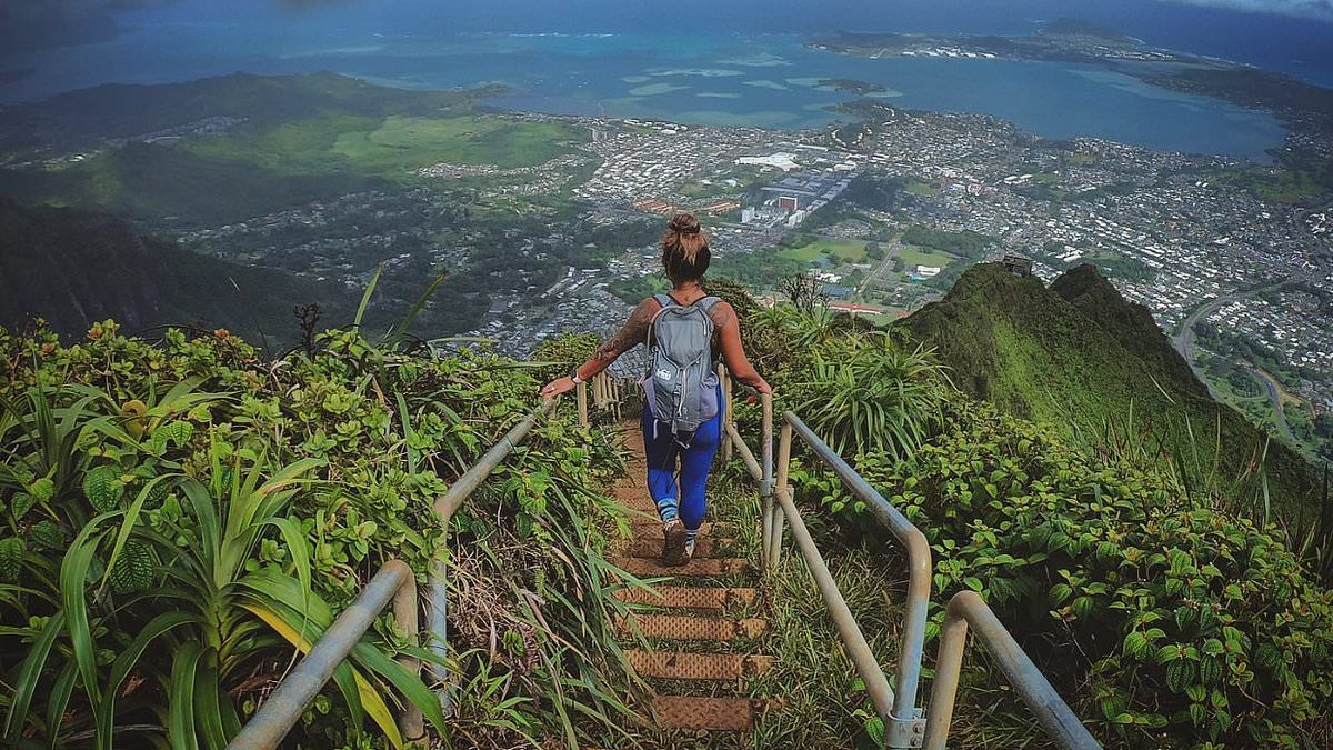 alert-–-hawaii-to-remove-famed-‘stairway-to-heaven’-created-by-the-navy-80-years-ago-after-hikers-and-influencers-refused-to-abide-by-its-closure