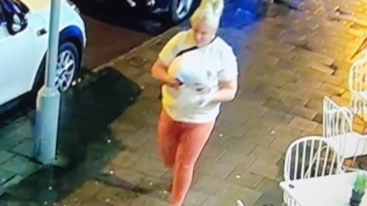 alert-–-police-arrest-man-and-woman-after-chasing-serial-‘dine-and-dashers’-wanted-over-‘food-thefts’-at-string-of-restaurants-–-with-cctv-showing-female-‘doing-a-runner-after-asking-where-nearest-cashpoint-was’