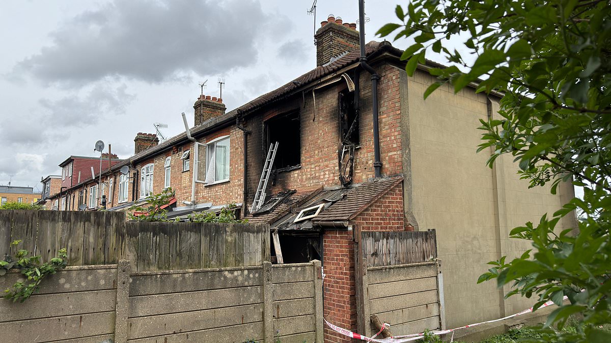 alert-–-murder-investigation-launched-after-two-people-died-in-house-fire-in-north-east-london:-police-claim-blaze-at-property-‘where-squatters-lived’-was-‘started-deliberately’