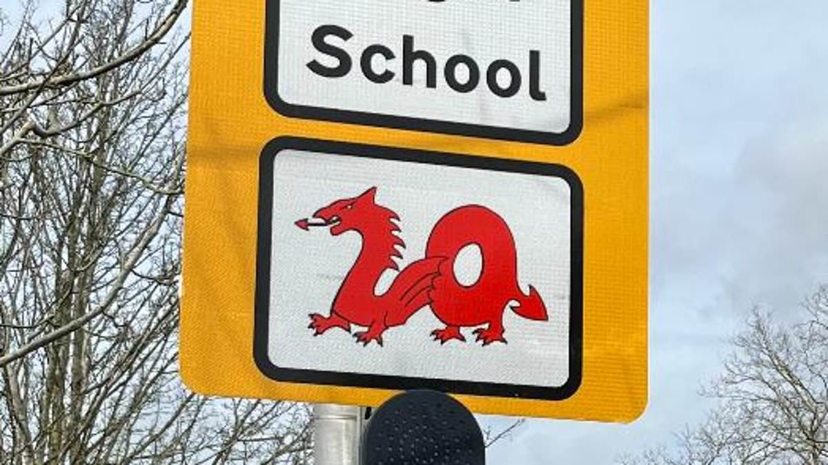 alert-–-dragon-themed-20mph-signs-outside-welsh-schools-are-branded-‘dangerous’-by-furious-families-who-say-the-designs-‘make-road-safety-worse-rather-than-better’